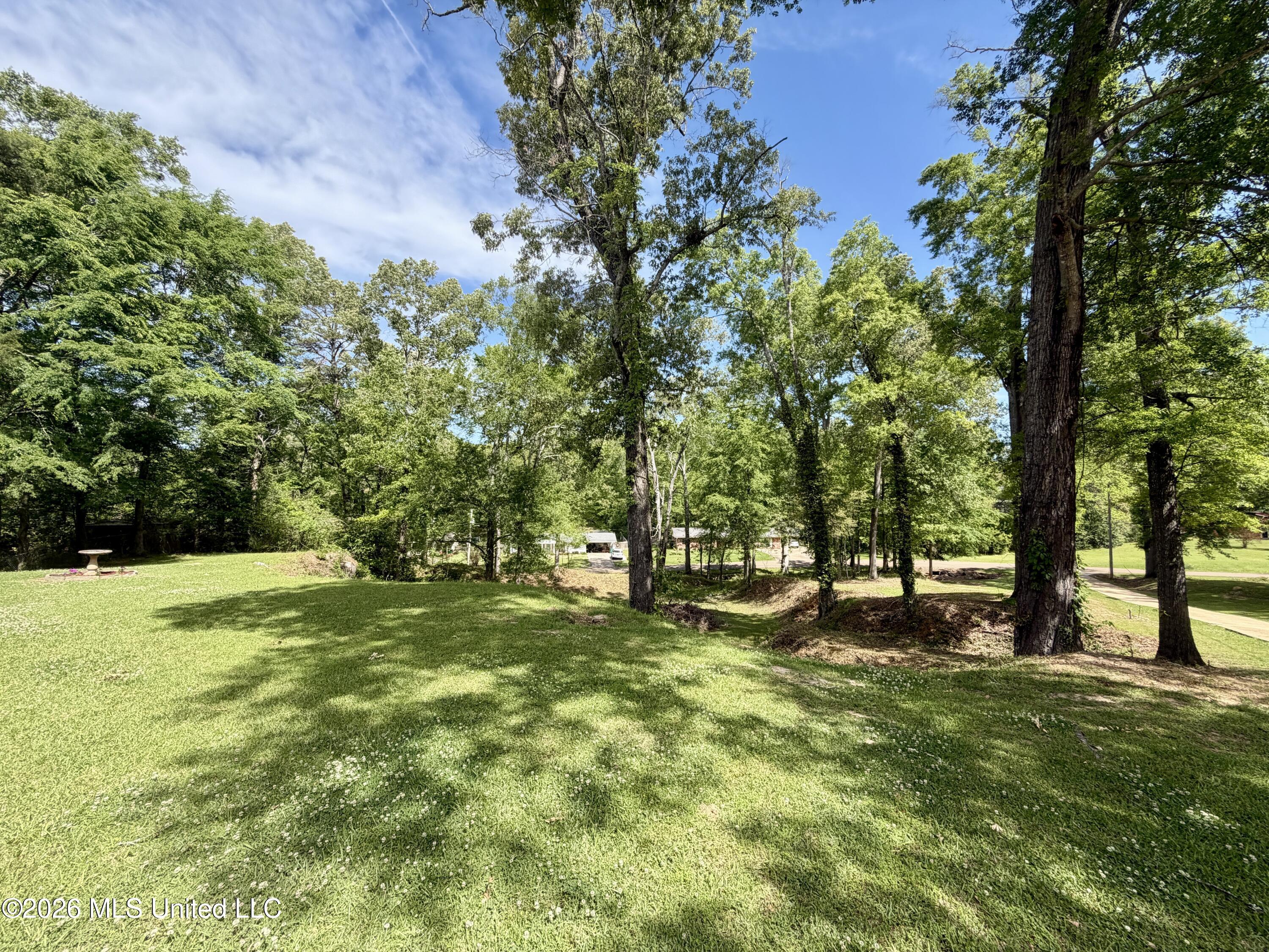218 Gillespie Circle Raymond, MS 39154 - Photo 5 of 42 gilllawn12159