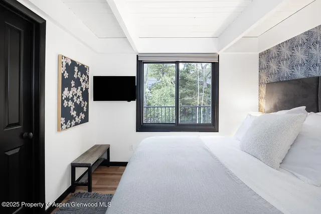 $17,000 | 901 East Hyman Avenue, Unit 4, Aspen, CO 81611