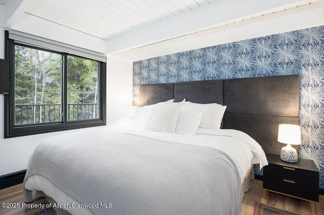 $17,000 | 901 East Hyman Avenue, Unit 4, Aspen, CO 81611