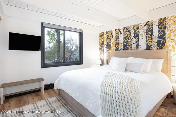 $10,000 | 901 East Hyman Avenue, Unit 4, Aspen, CO 81611