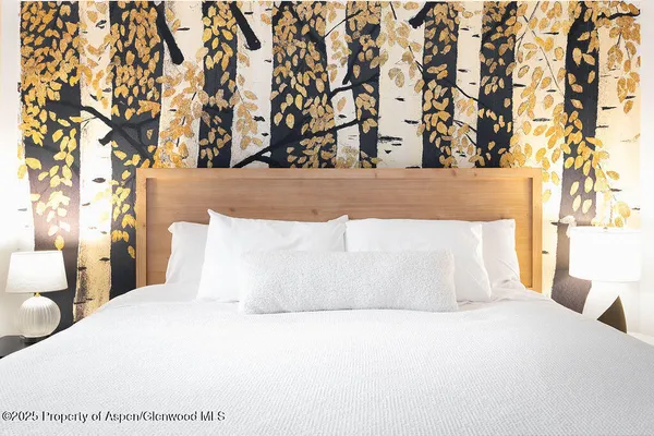 $10,000 | 901 East Hyman Avenue, Unit 4, Aspen, CO 81611