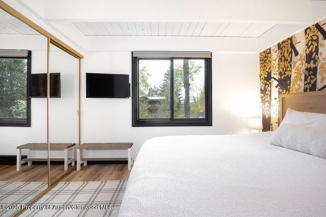 $17,000 | 901 East Hyman Avenue, Unit 4, Aspen, CO 81611