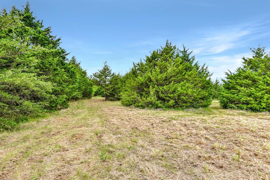 Tbd Airport Road Tioga, TX 76271 - Photo 21 of 28 a view of a yard with a tree