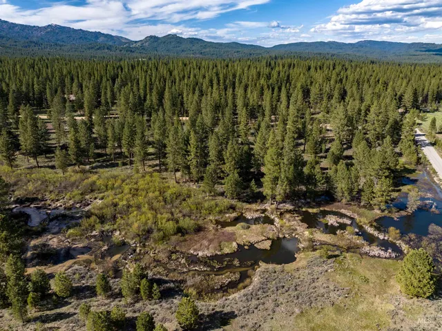 $175,000 | Lot 3 Star Creek, Idaho City, ID 83631