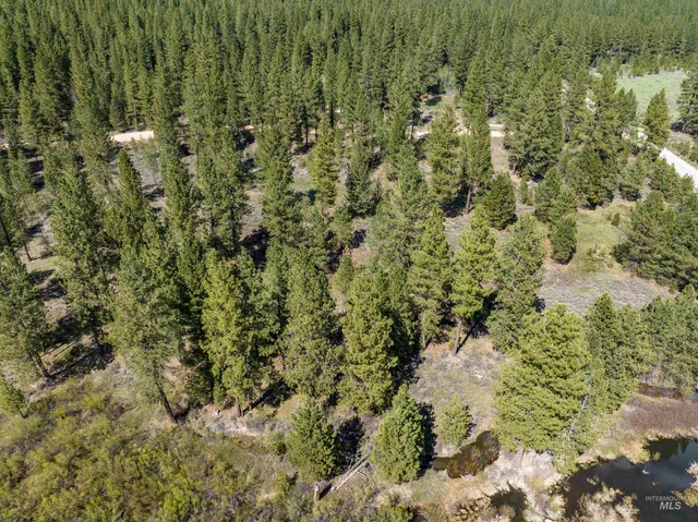 $175,000 | Lot 3 Star Creek, Idaho City, ID 83631