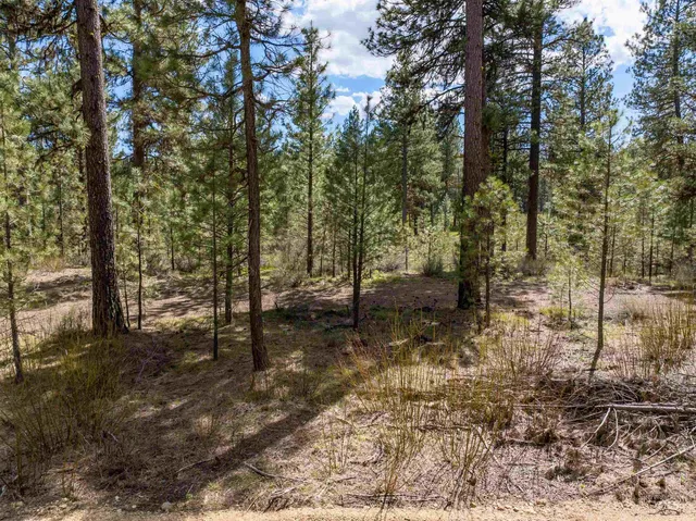 $175,000 | Lot 3 Star Creek, Idaho City, ID 83631