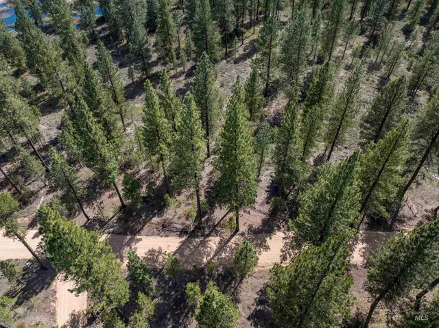 $175,000 | Lot 3 Star Creek, Idaho City, ID 83631