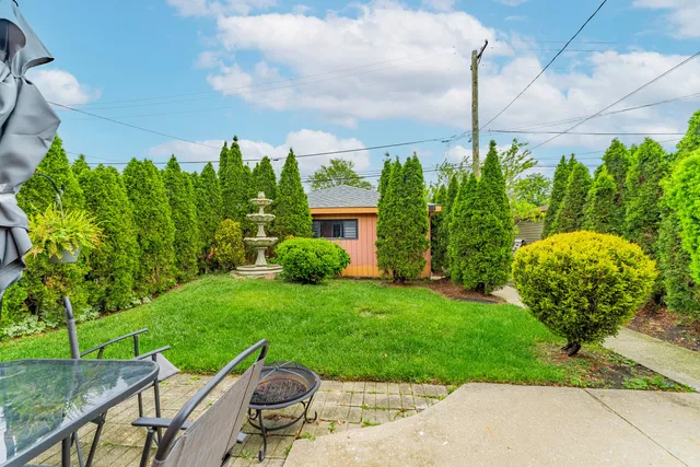 a view of a backyard with plants