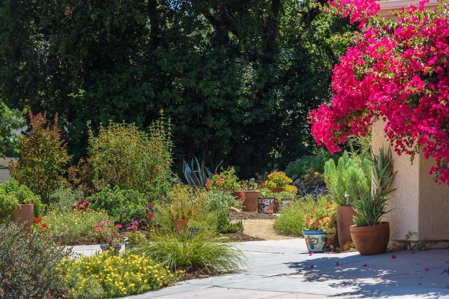 1201 Rains Court Ojai, CA 93023 - Photo 3 of 38 a view of a garden with flowers and trees