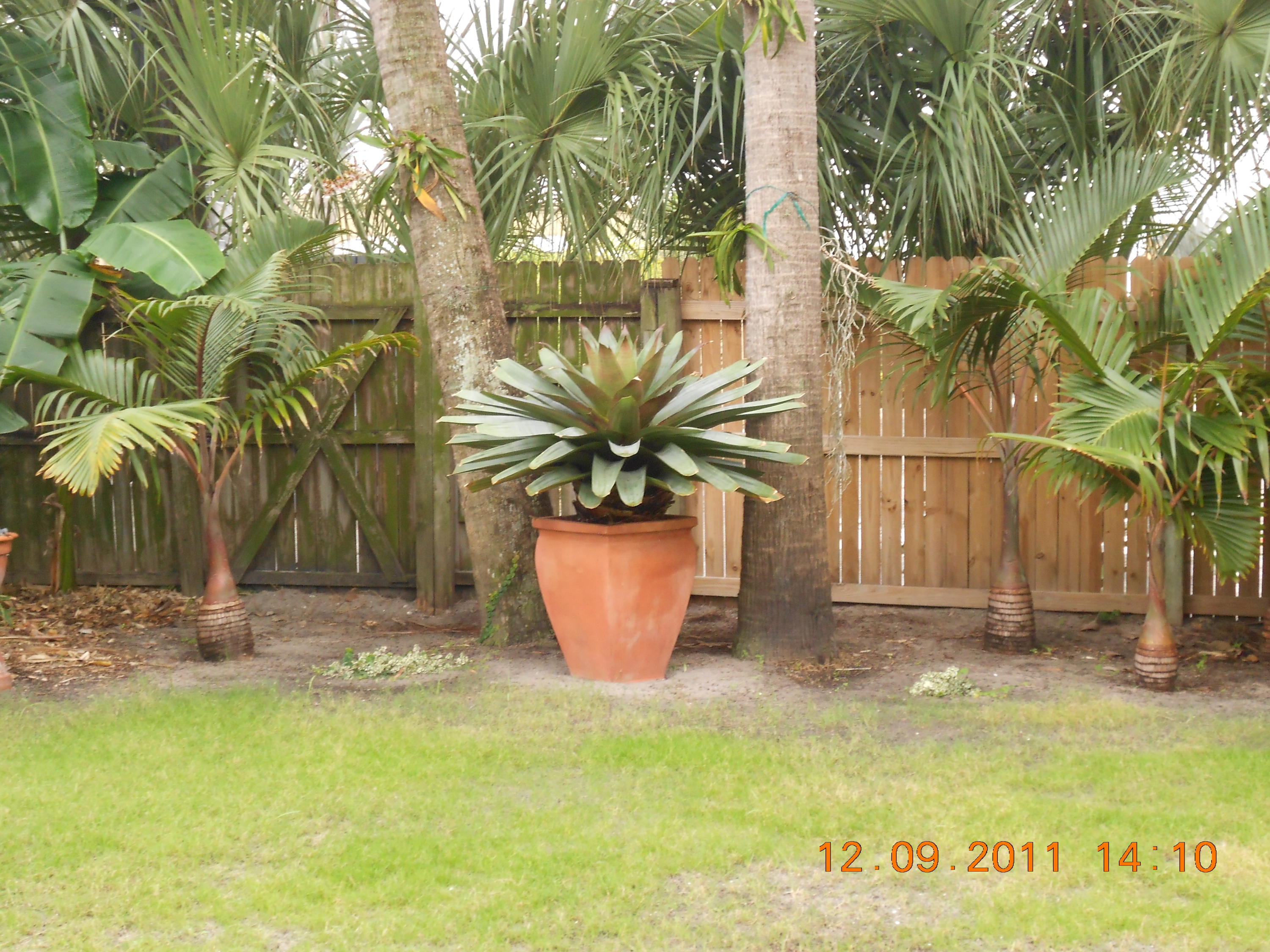 818 Avon Road West Palm Beach, FL 33401 - Photo 16 of 17 Back yard