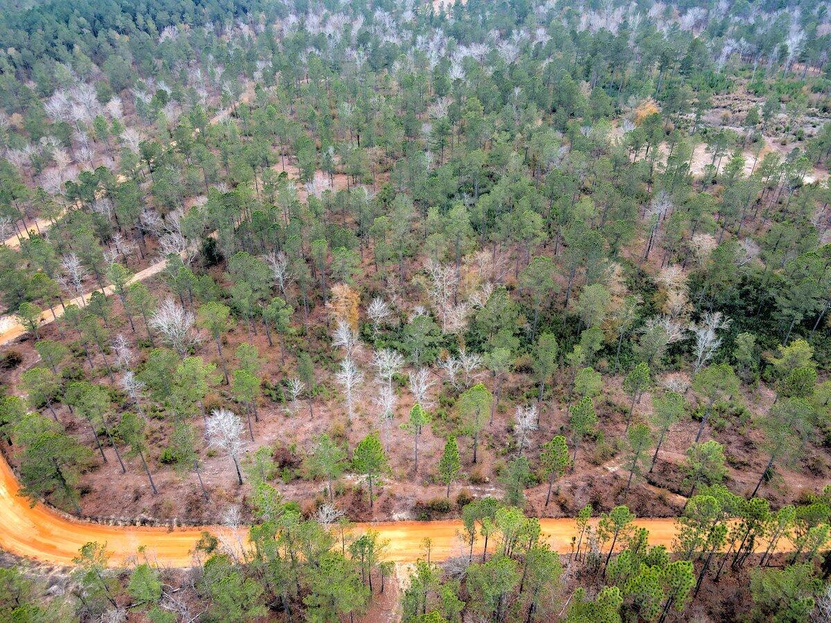 0 Deer Run Road, Unit F2 Williston, SC 29853 - Photo 3 of 24 Gallery Image 3