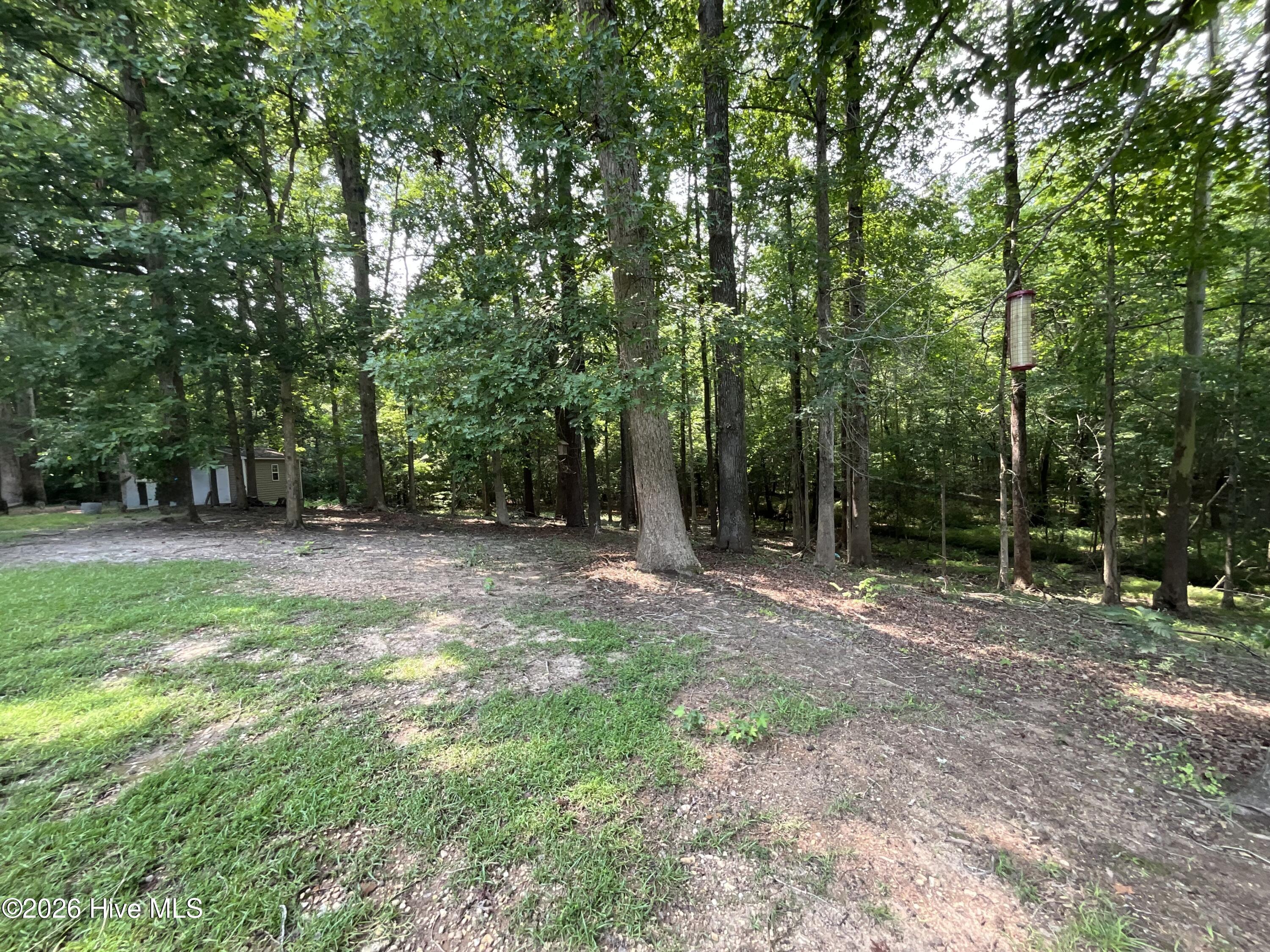 7808 Bridgeview Road Rocky Mount, NC 27803 - Photo 3 of 4 Gallery Image 3
