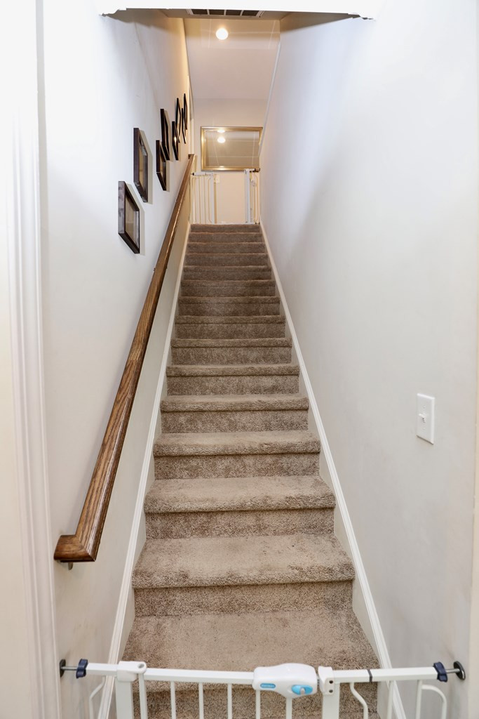 545 Curlew Circle Sumter, SC 29150 - Photo 29 of 74