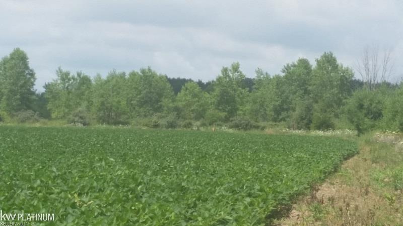 1460 North Ridge Road Carsonville, MI 48419 - Photo 29 of 49 31298281-28.JPG