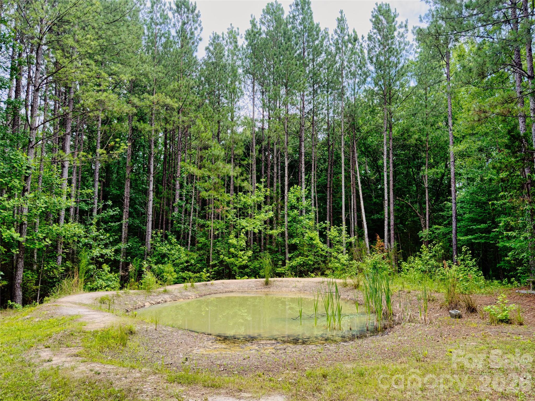 4942 Reid Road Edgemoor, SC 29712 - Photo 45 of 48