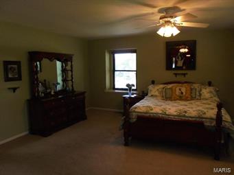 314 Glyn Cagny Road Ballwin, MO 63021 - Photo 13 of 18 Gallery Image 13