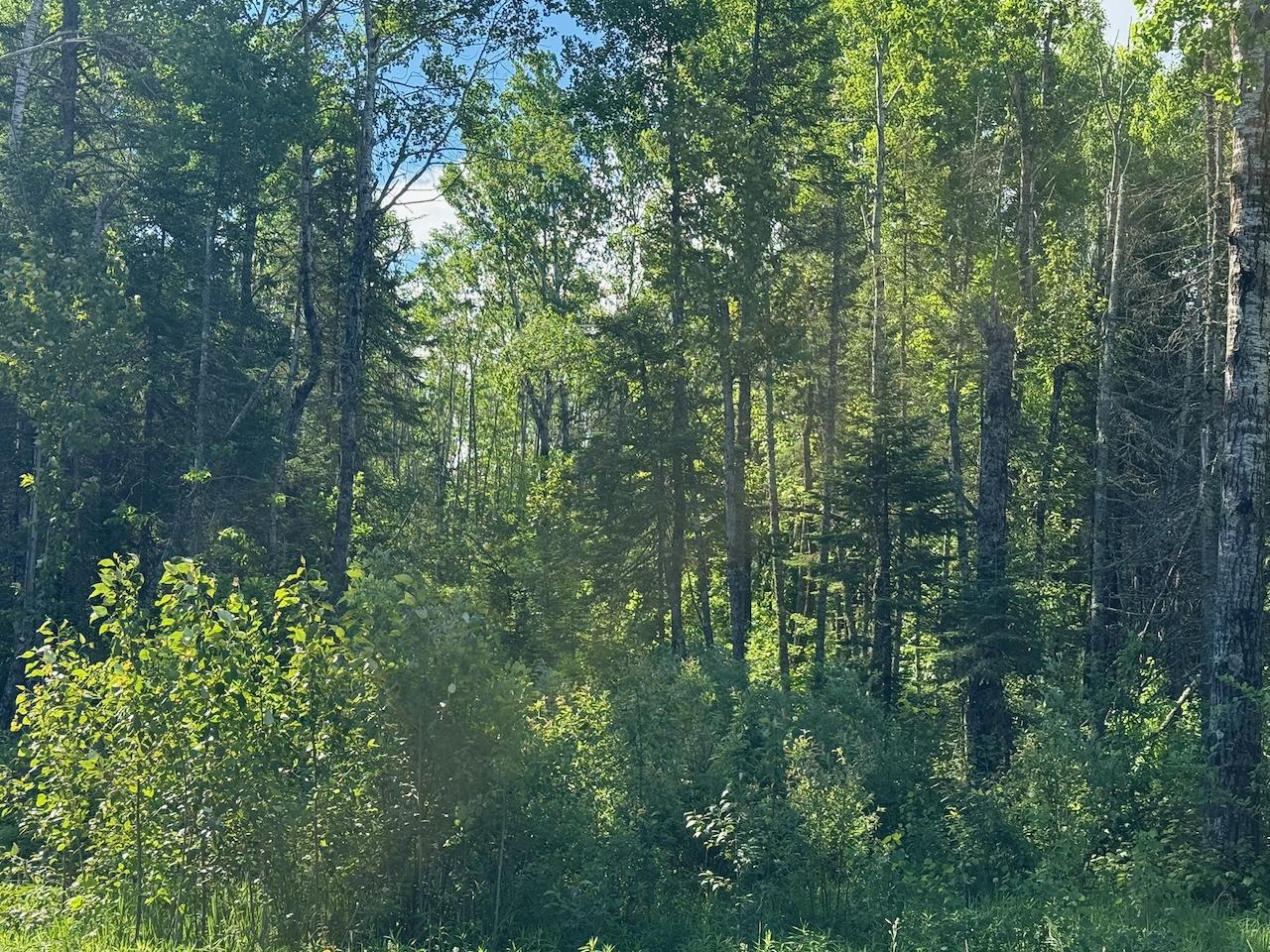 1576 County Road 8 Holyoke, MN 55749 - Photo 1 of 11