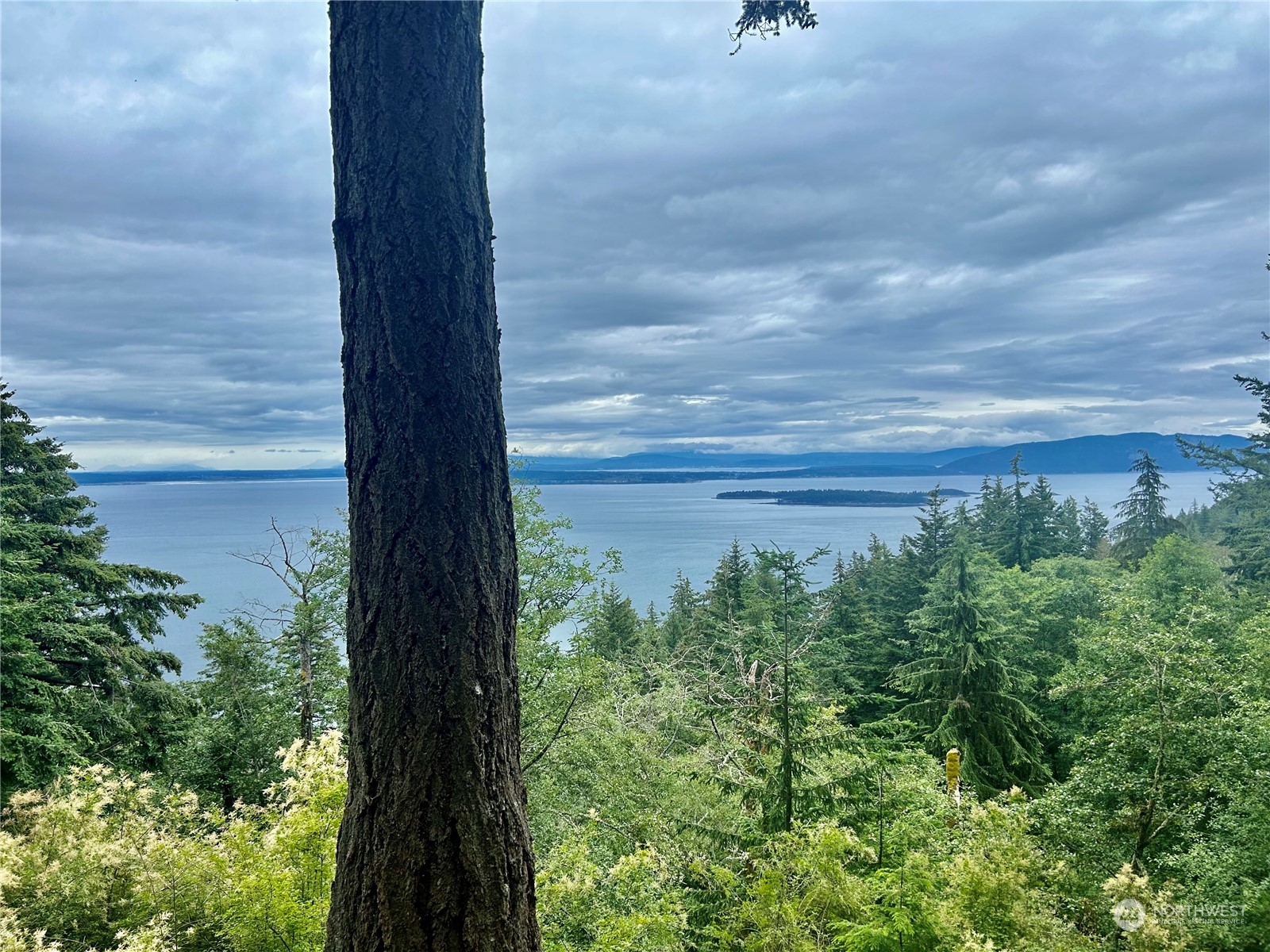 330 Day Lake Road Orcas Island, WA 98245 - Photo 6 of 13 Gallery Image 6