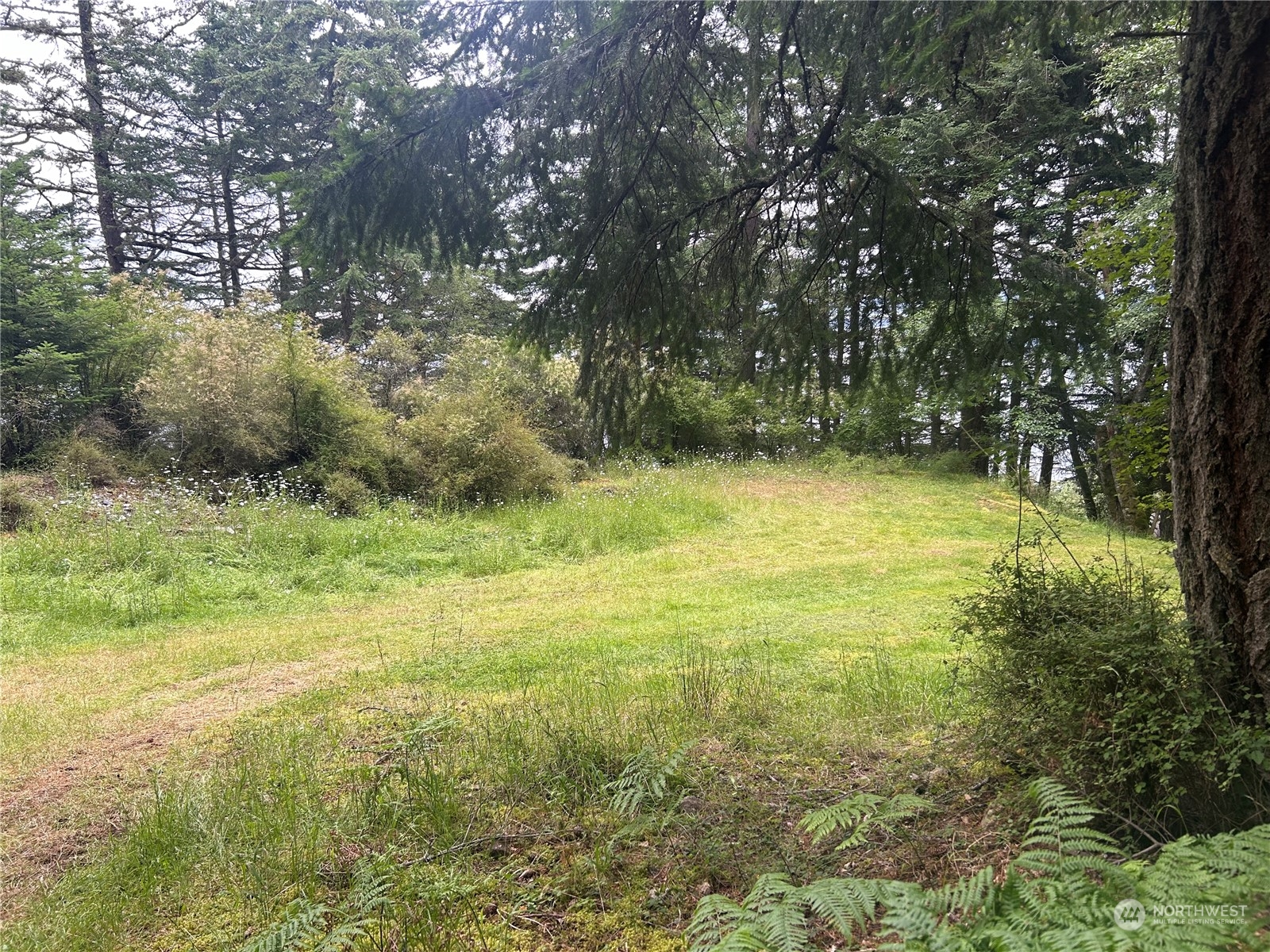 330 Day Lake Road Orcas Island, WA 98245 - Photo 8 of 13 Gallery Image 8