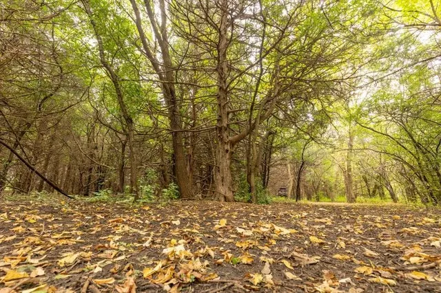 $1,400,000 | 1323 230th Avenue, Fairmont, MN 56031