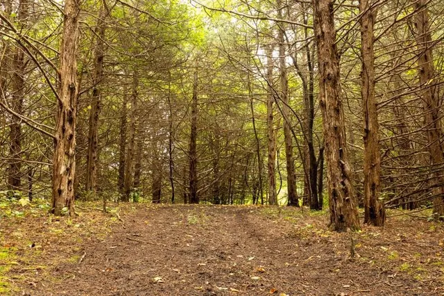 $1,400,000 | 1323 230th Avenue, Fairmont, MN 56031