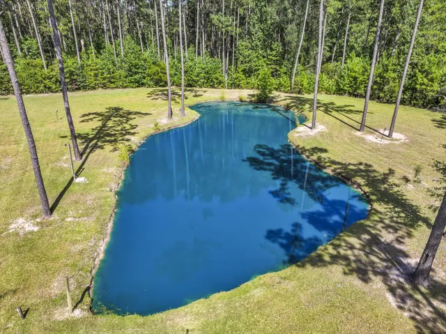 $775,000 | 8013 Little Britton Road, Hollywood, SC 29449