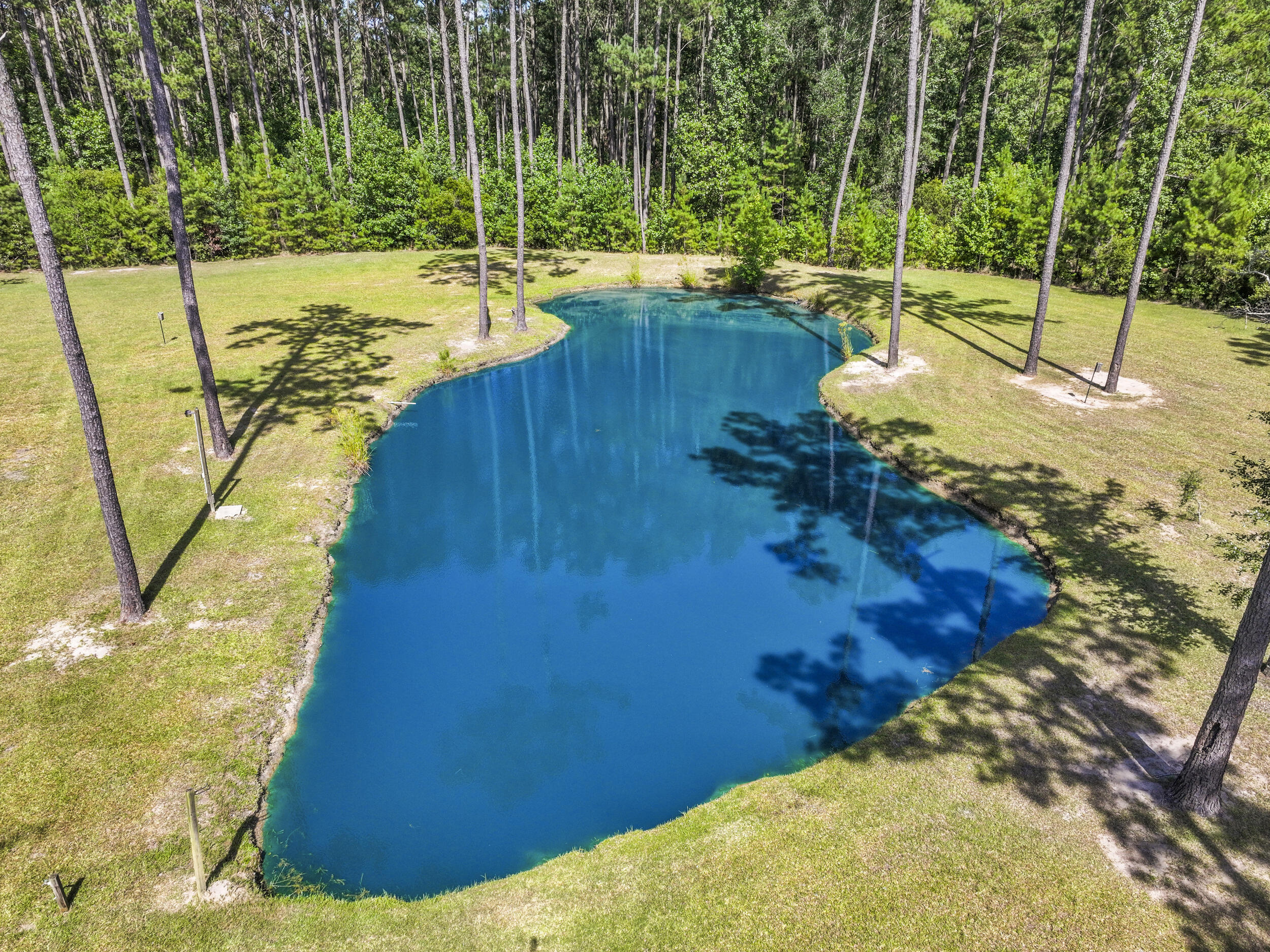 8013 Little Britton Road Hollywood, SC 29449 - Photo 43 of 74 42