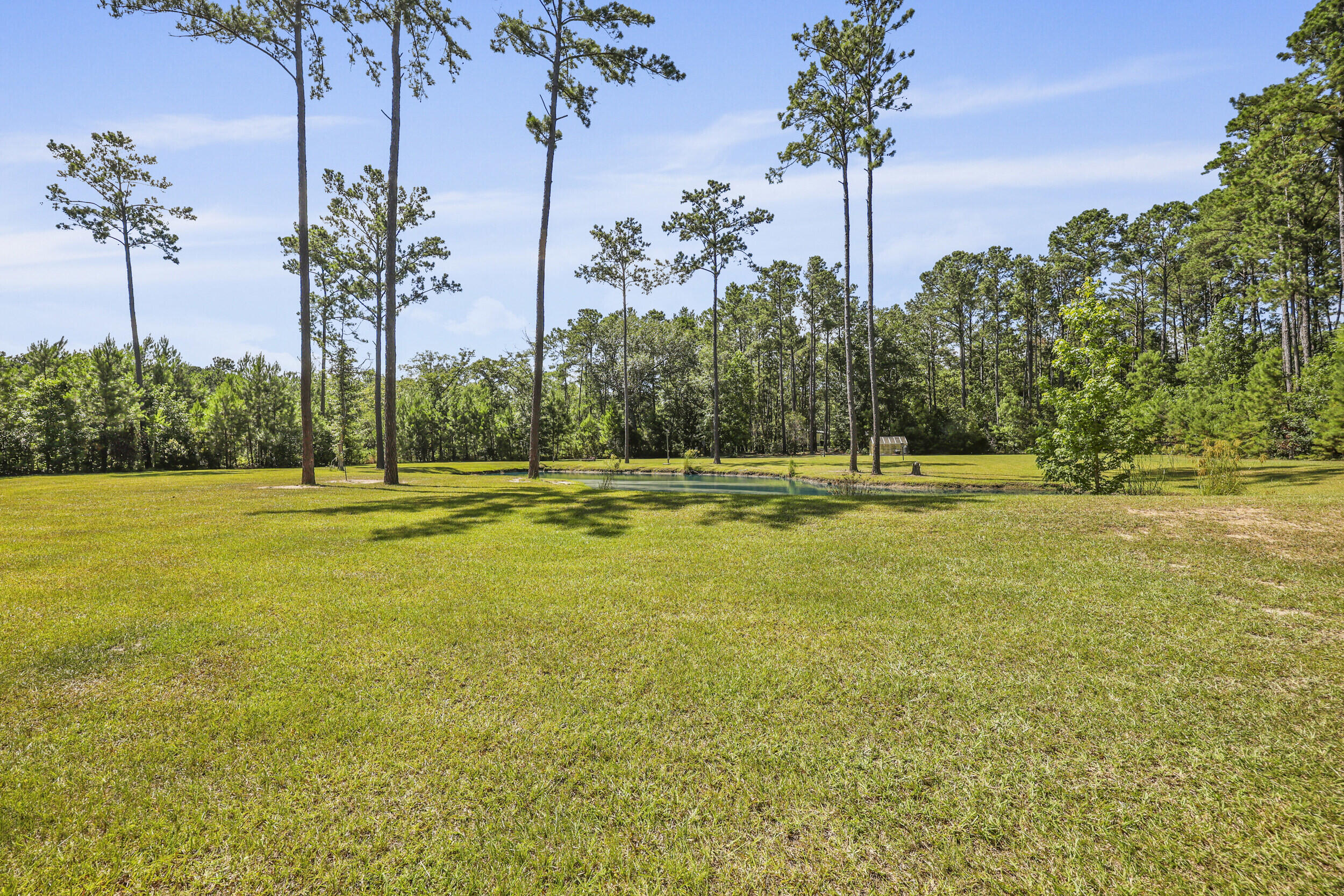 8013 Little Britton Road Hollywood, SC 29449 - Photo 59 of 74 58