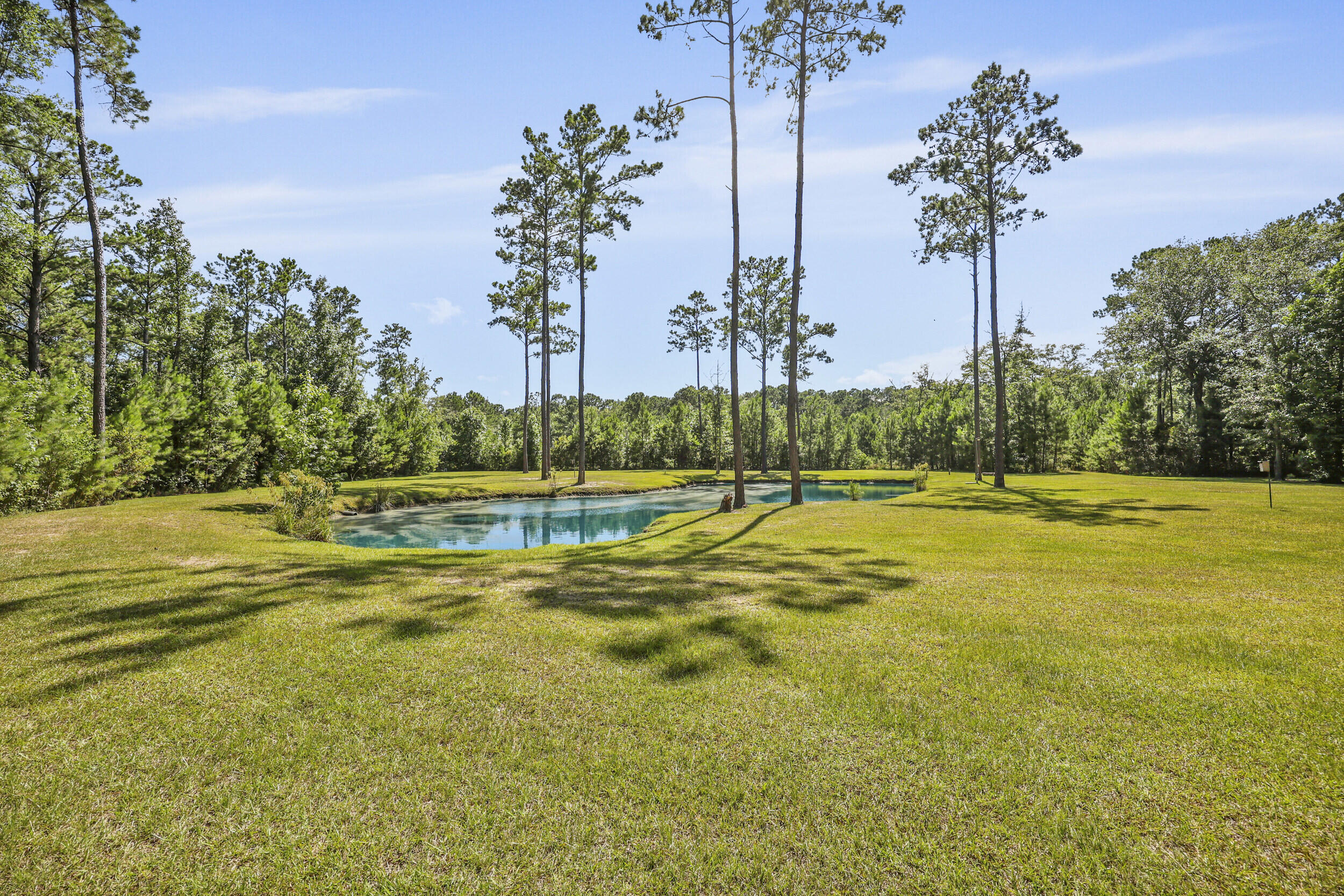 8013 Little Britton Road Hollywood, SC 29449 - Photo 60 of 74 59