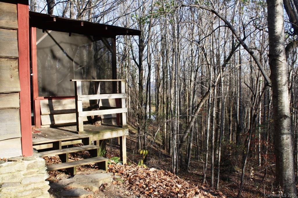 959 Frost Road Saluda, NC 28773 - Photo 10 of 11 Gallery Image 10