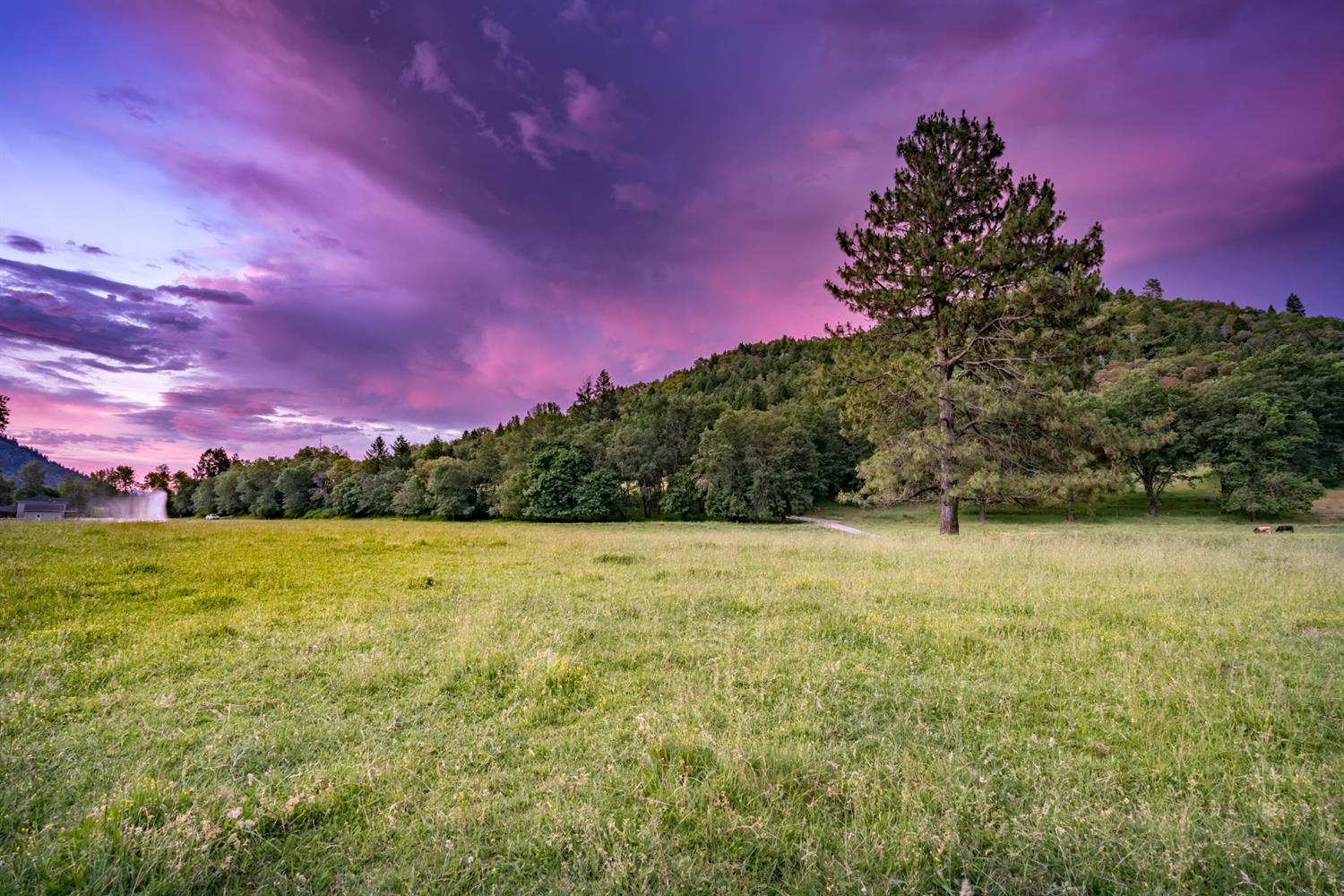 3903 Helms Road Grants Pass, OR 97527 - Photo 11 of 35 Additional Photo
