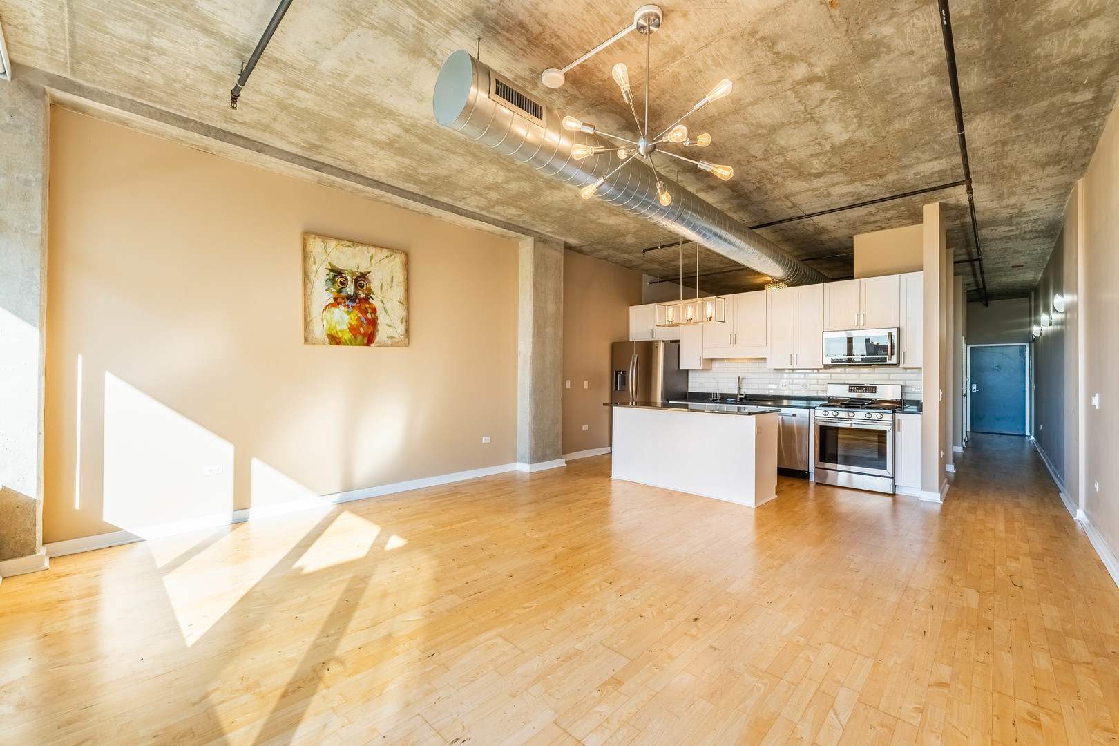 50 East 16th Street, Unit 411 Chicago, IL 60616 - Photo 4 of 22 a view of a kitchen with stainless steel appliances granite countertop a sink and cabinets