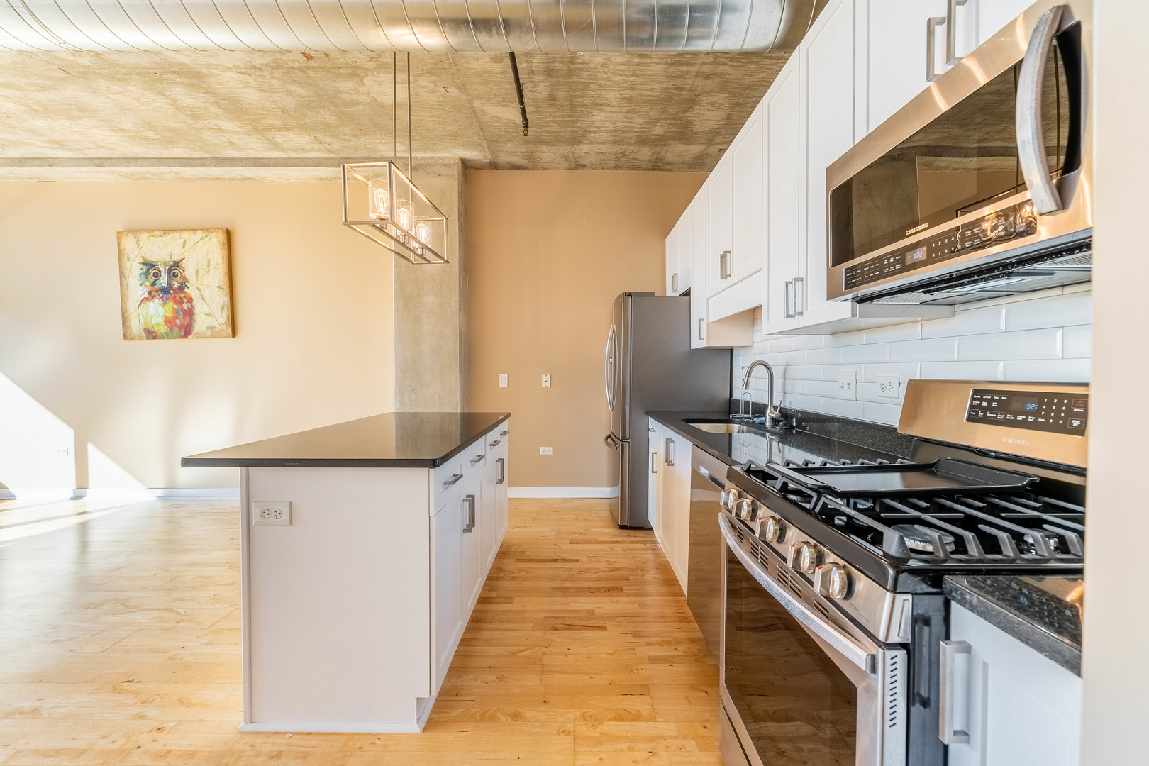 50 East 16th Street, Unit 411 Chicago, IL 60616 - Photo 8 of 22 a kitchen with stainless steel appliances granite countertop a stove and a microwave