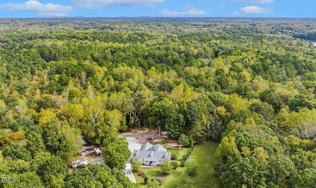 a view of a lush green field with lots of bushes