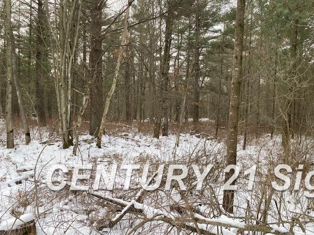 0 West Wackerly Road Sanford, MI 48657 - Photo 5 of 19