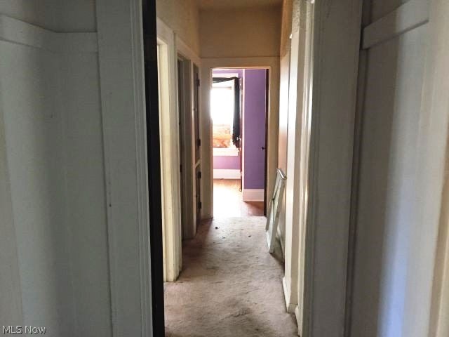 4641 Burleigh Road Cleveland, OH 44125 - Photo 12 of 21