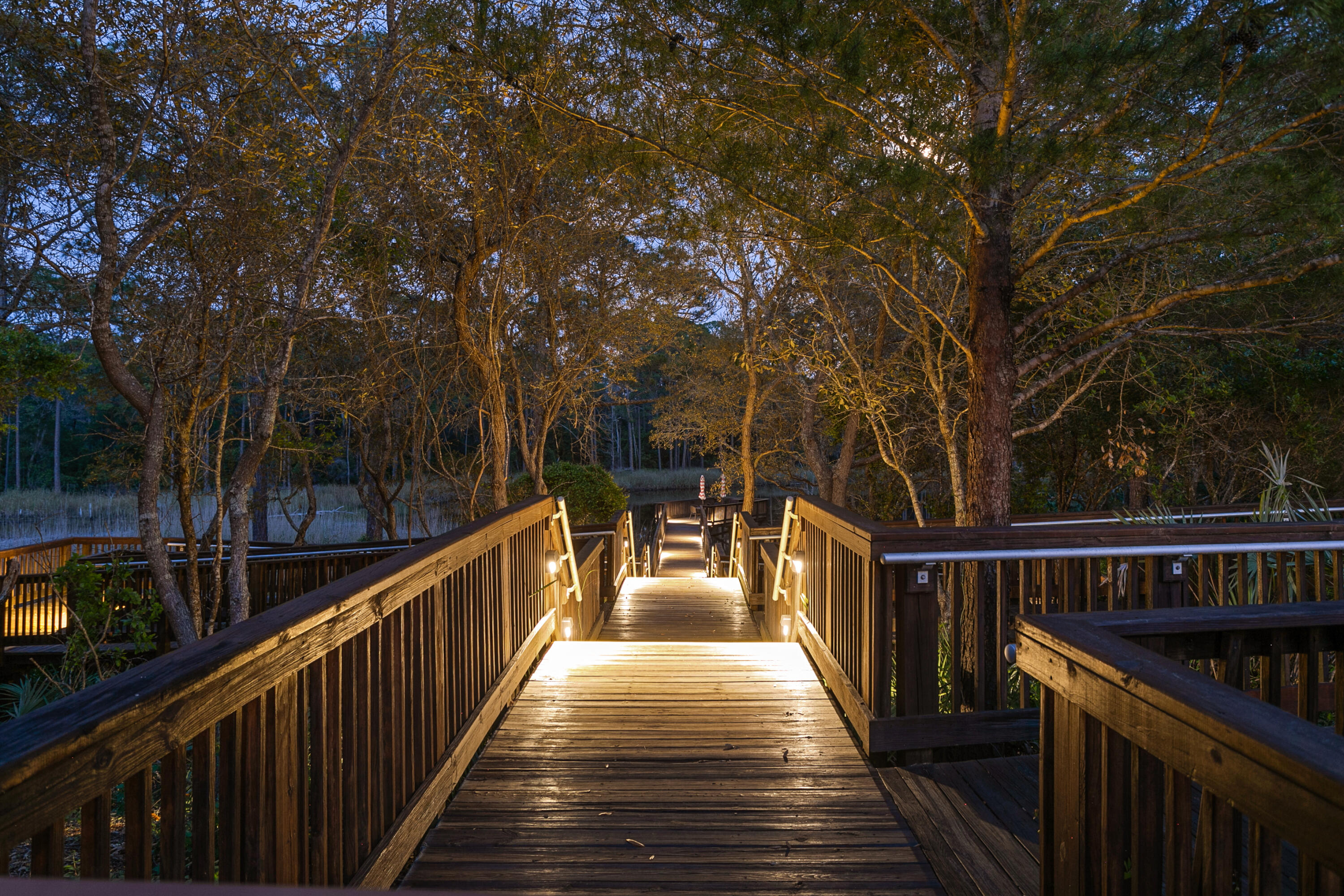 2050 West County Highway 30A, Unit M1314 Santa Rosa Beach, FL 32459 - Photo 68 of 79 017A1339