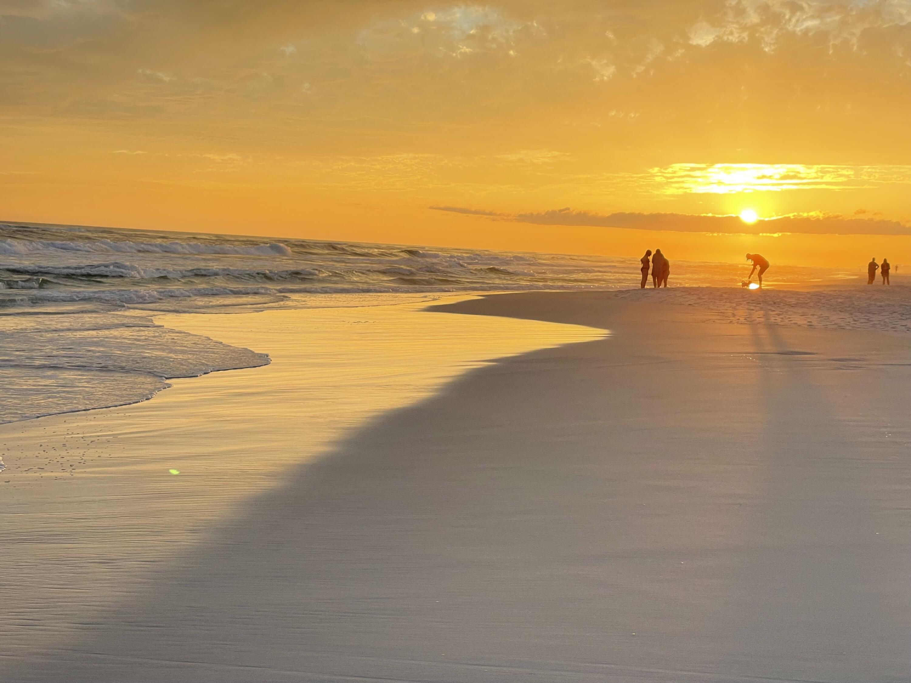2050 West County Highway 30A, Unit M1314 Santa Rosa Beach, FL 32459 - Photo 77 of 79 a view of an ocean and beach