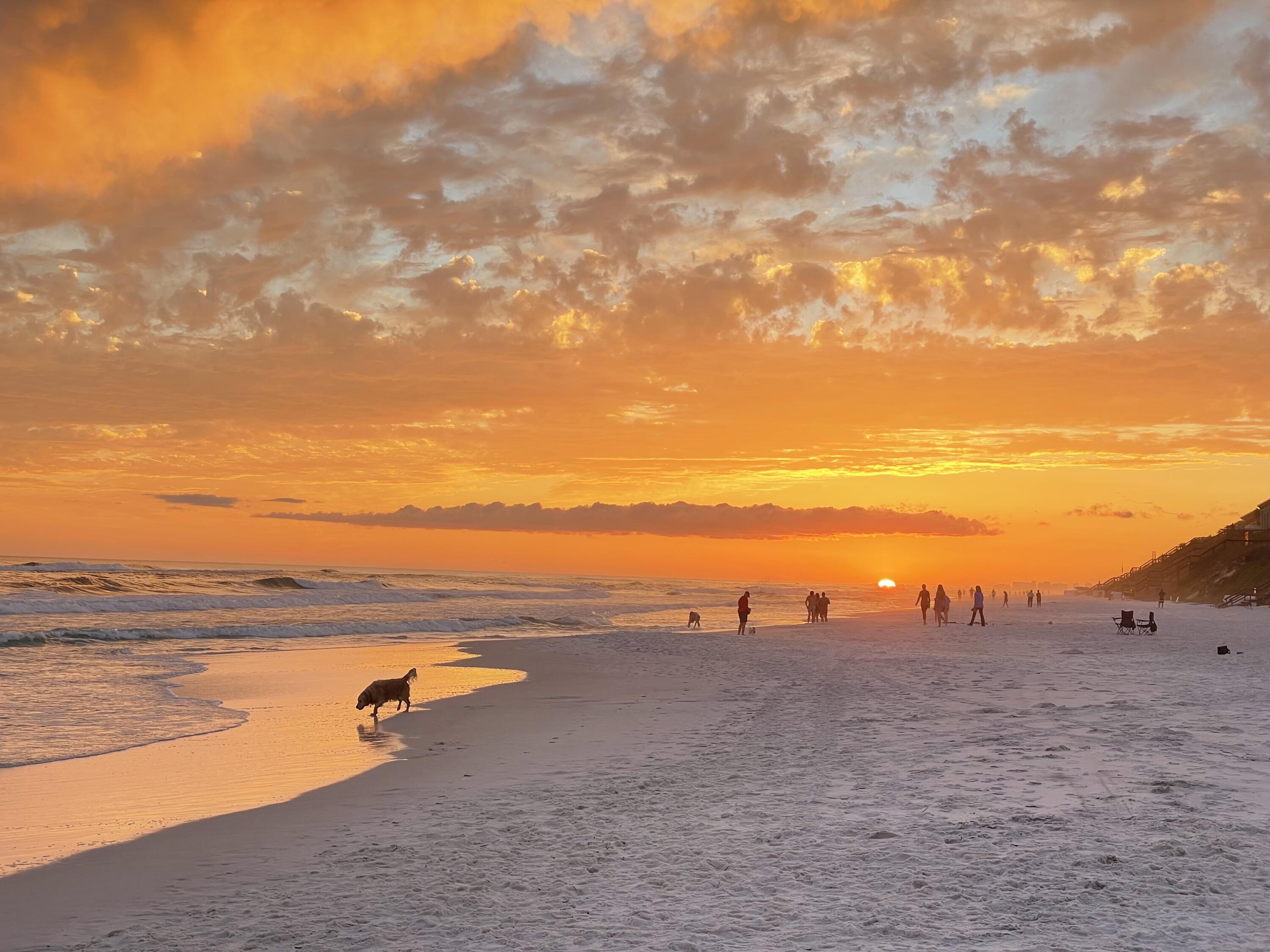 2050 West County Highway 30A, Unit M1314 Santa Rosa Beach, FL 32459 - Photo 79 of 79 Photo Apr 14, 7 11 11 PM