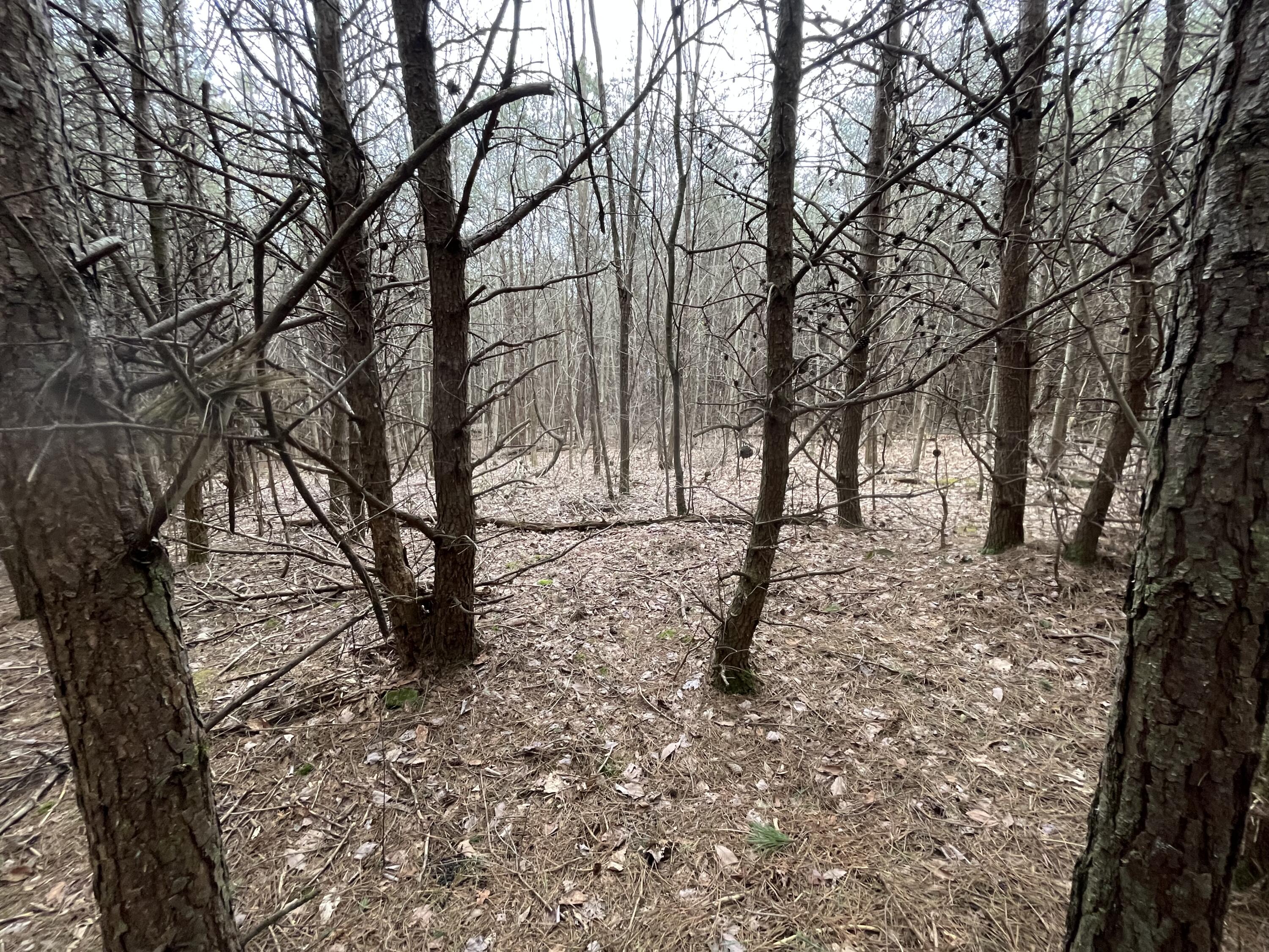 12 Fredonia Road Dunlap, TN 37327 - Photo 45 of 46 Photo Feb 20 2023, 12 43 00 PM