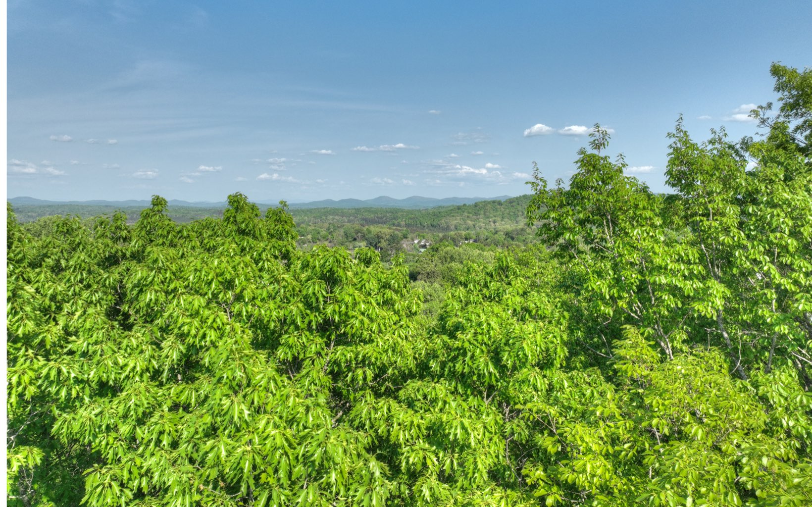 Additional View