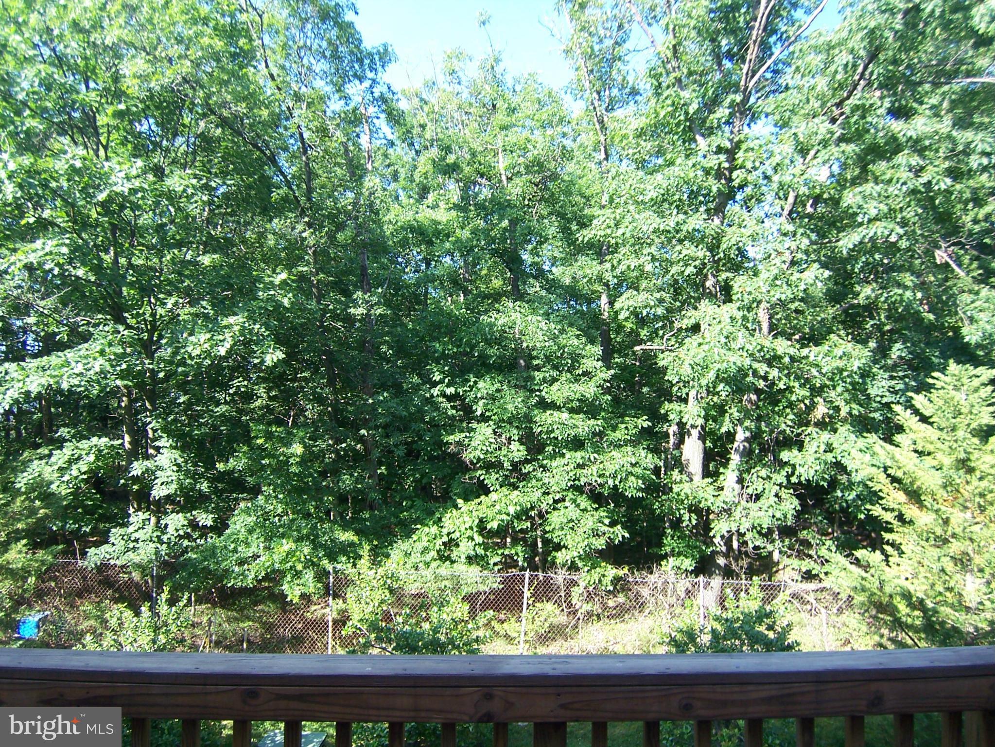 13606 Mills Farm Road Rockville, MD 20850 - Photo 26 of 30 View from deck!