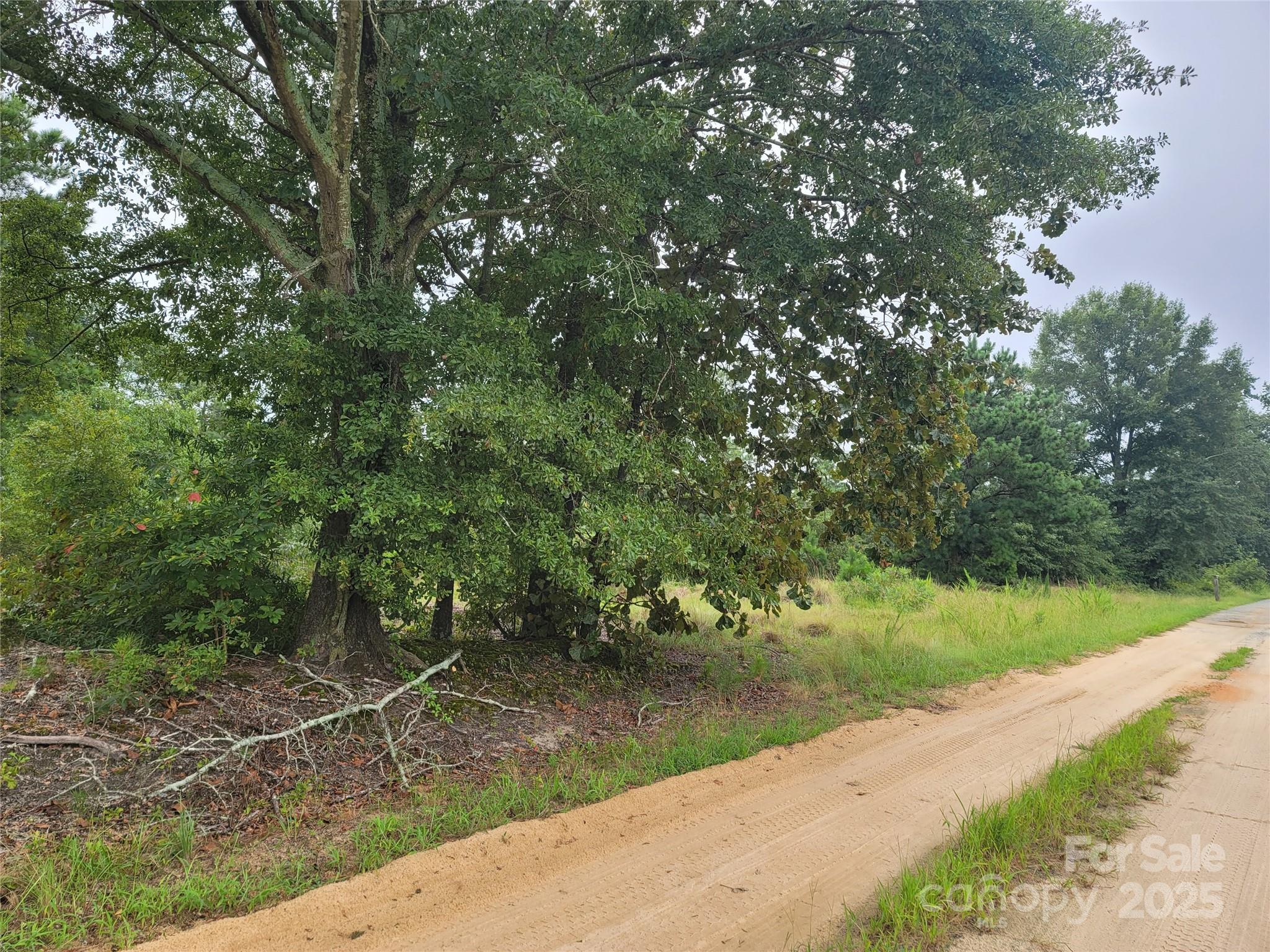 a view of a street view