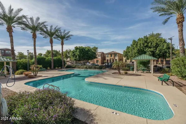 a view of a swimming pool with palm trees