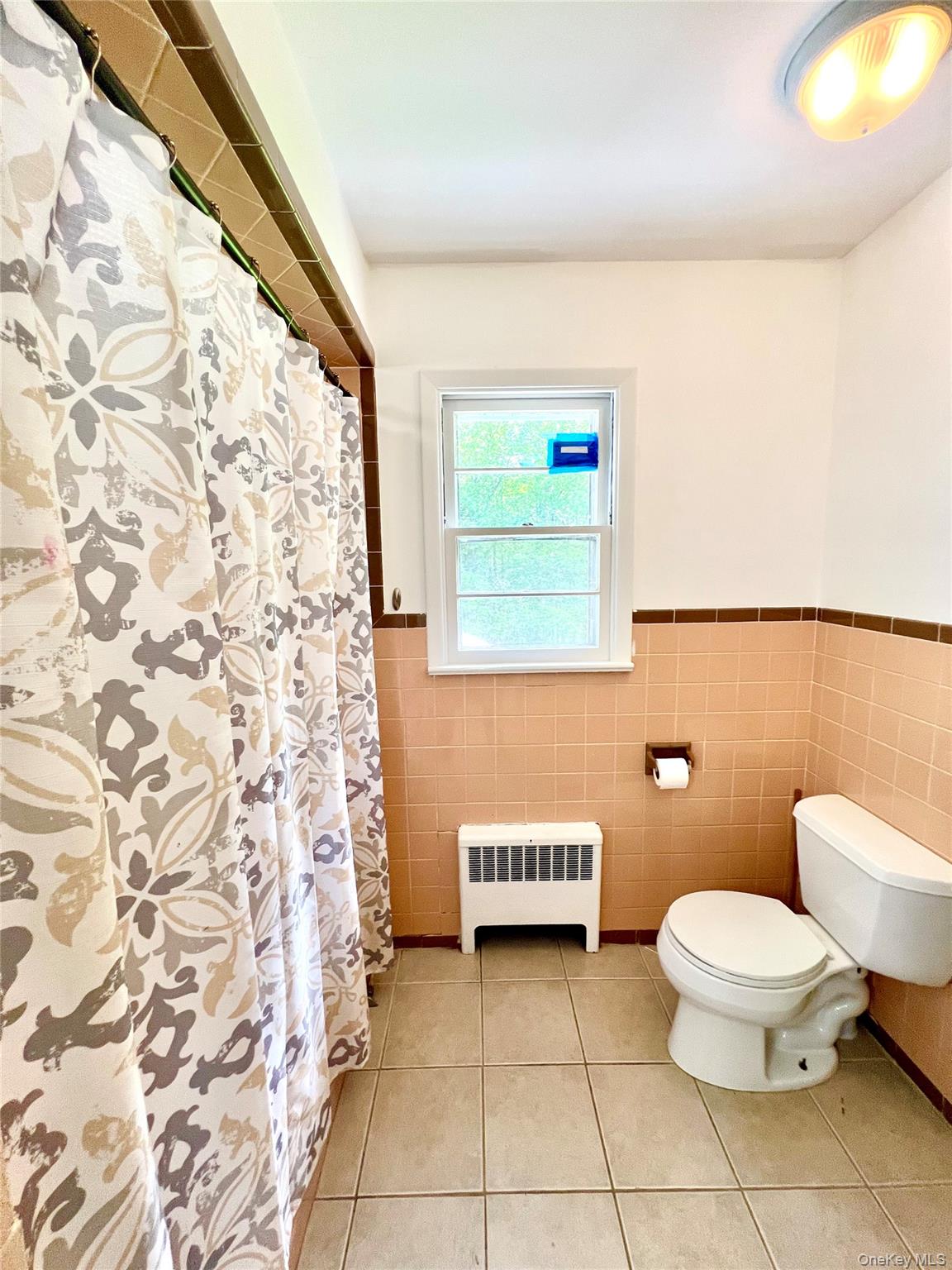 26 Orange Road Florida, NY 10921 - Photo 16 of 39 a bathroom with a toilet a sink and a mirror