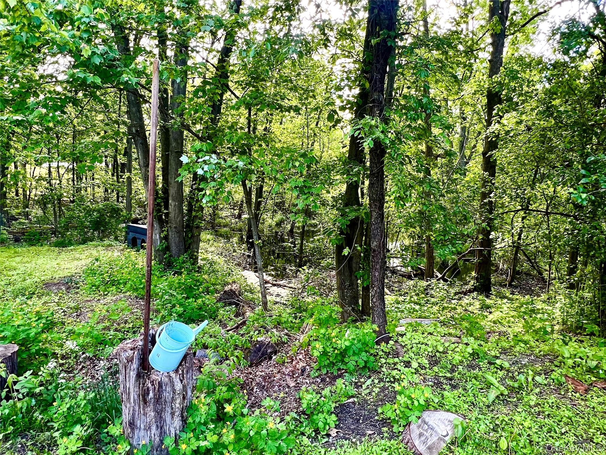 26 Orange Road Florida, NY 10921 - Photo 31 of 39 a view of forest