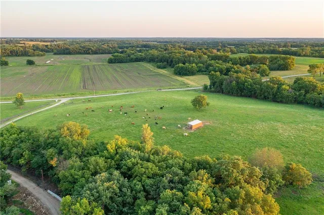 $524,900 | 1318 Northwest 911p Road, Blairstown, MO 64726