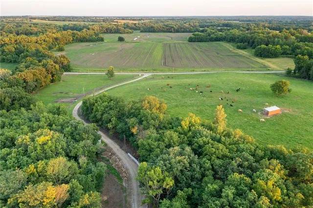 $524,900 | 1318 Northwest 911p Road, Blairstown, MO 64726