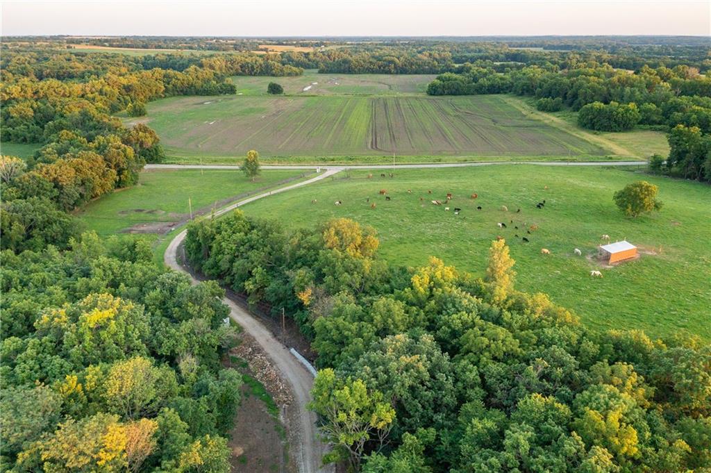 1318 Northwest 911p Road Blairstown, MO 64726 - Photo 17 of 99