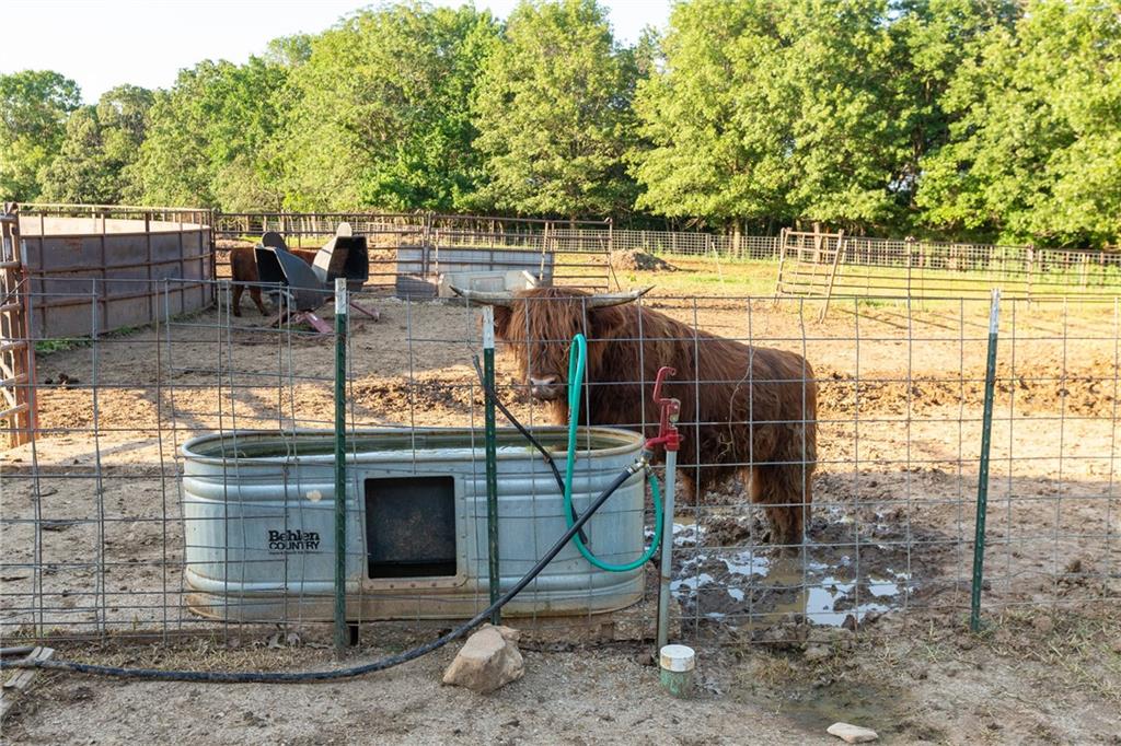 1318 Northwest 911p Road Blairstown, MO 64726 - Photo 49 of 99